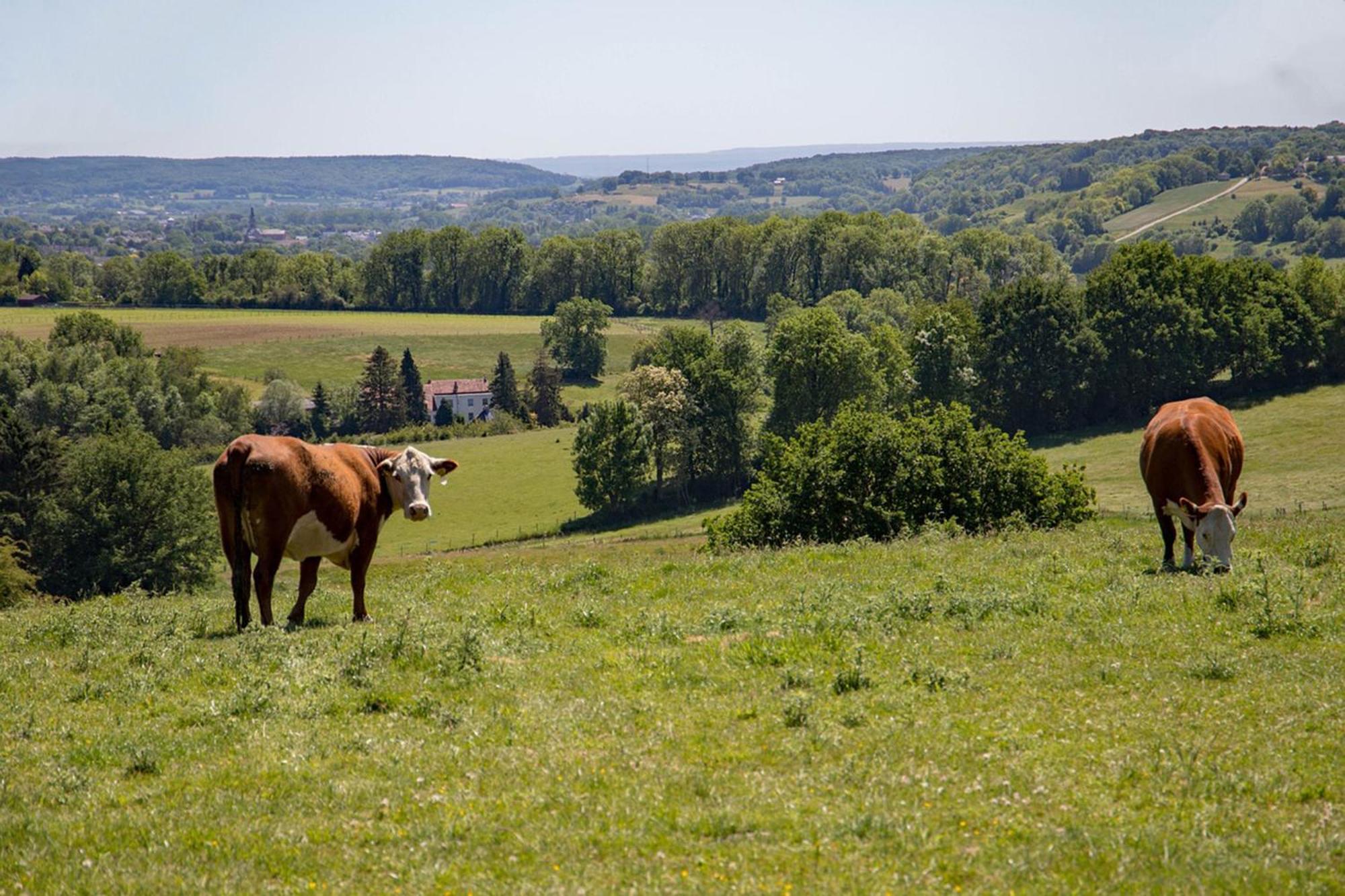 Bnb Het Geluk Van Limburg Malinas Exterior foto