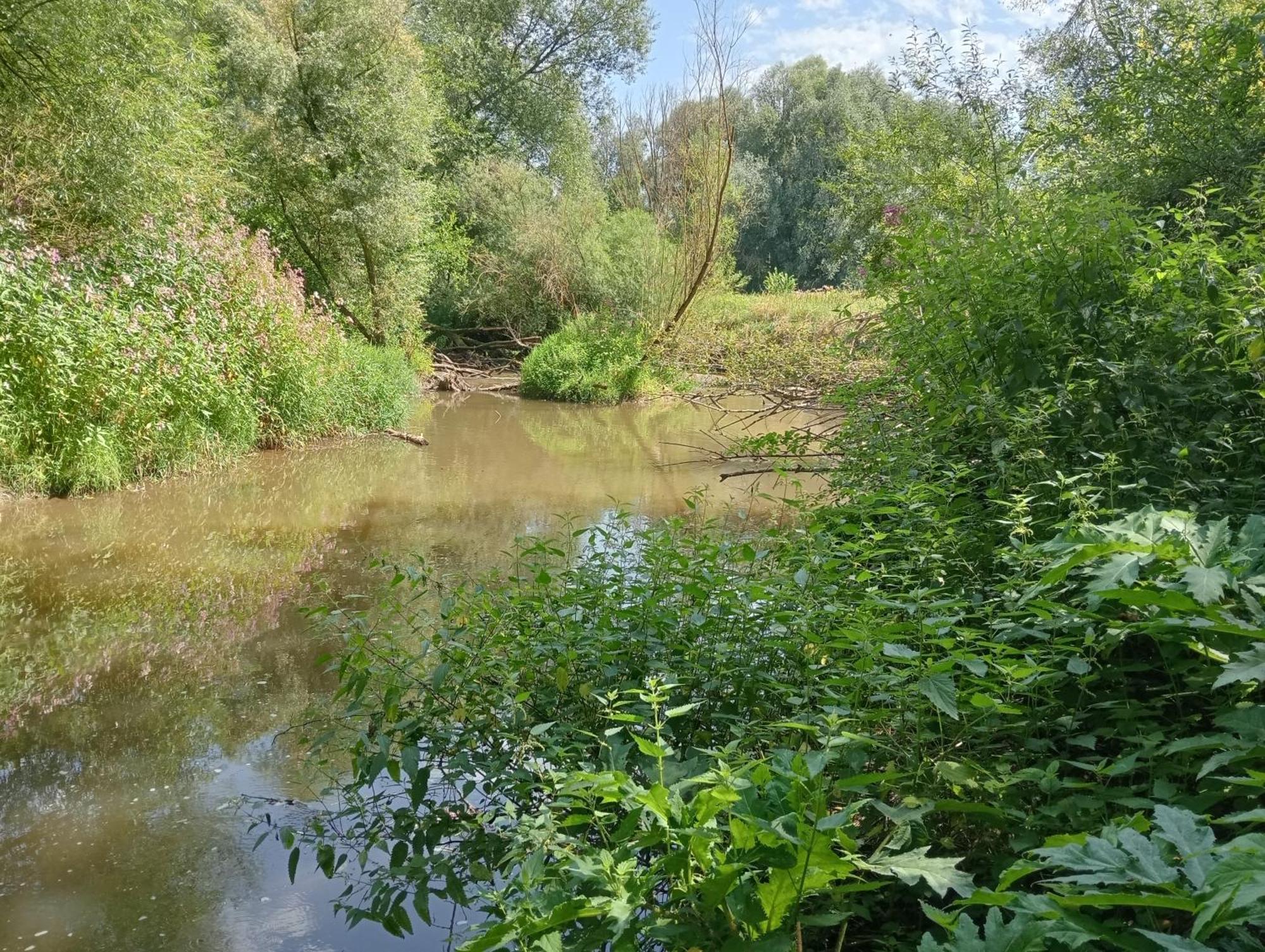 Bnb Het Geluk Van Limburg Malinas Exterior foto